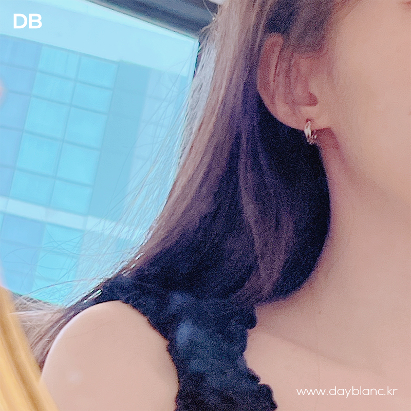 Lustrous Mist (Earring)