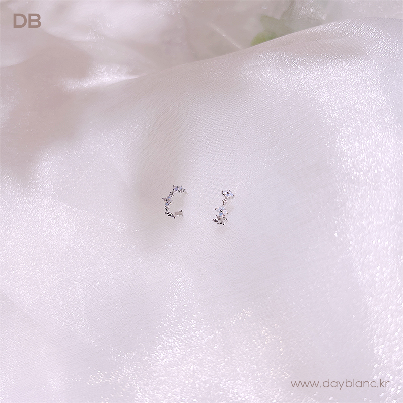 Night Flower (Earring)