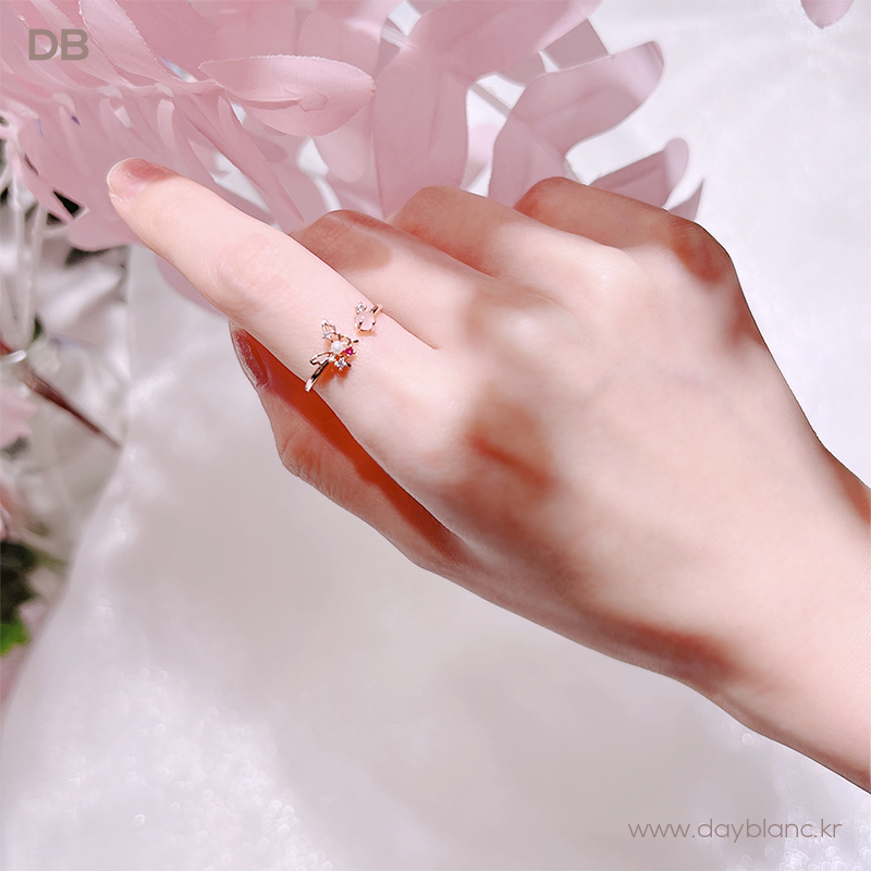 Bunhong Nabi (Ring)