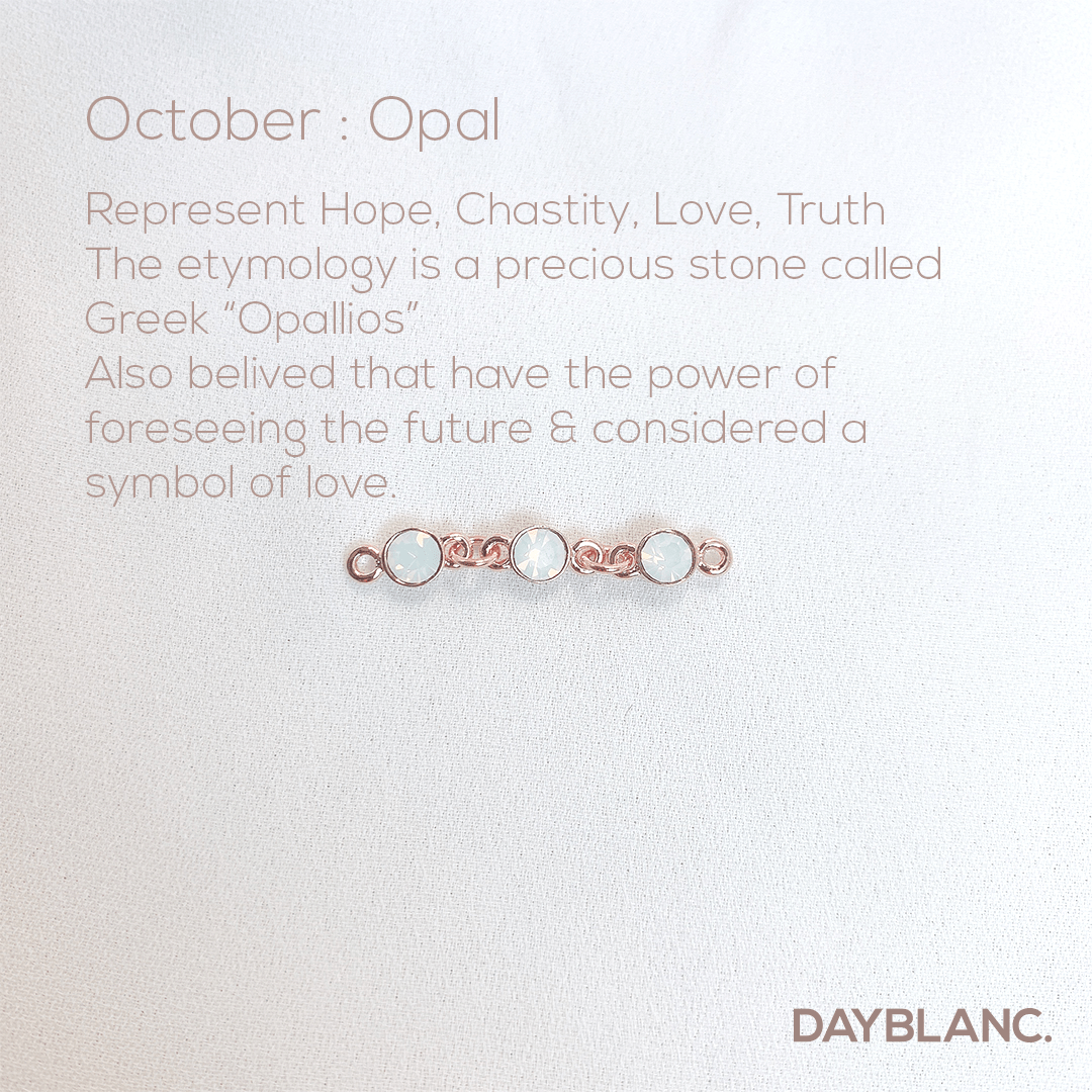 Adore You (Earring/Premium/Birthstone) - DAYBLANC