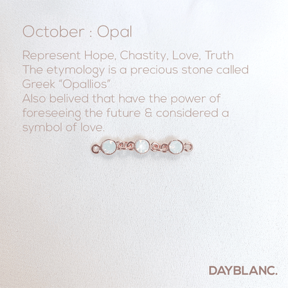 Adore You (Earring/Premium/Birthstone) - DAYBLANC