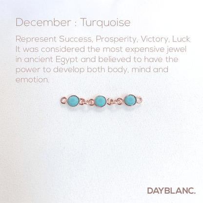 Adore You (Earring/Premium/Birthstone) - DAYBLANC