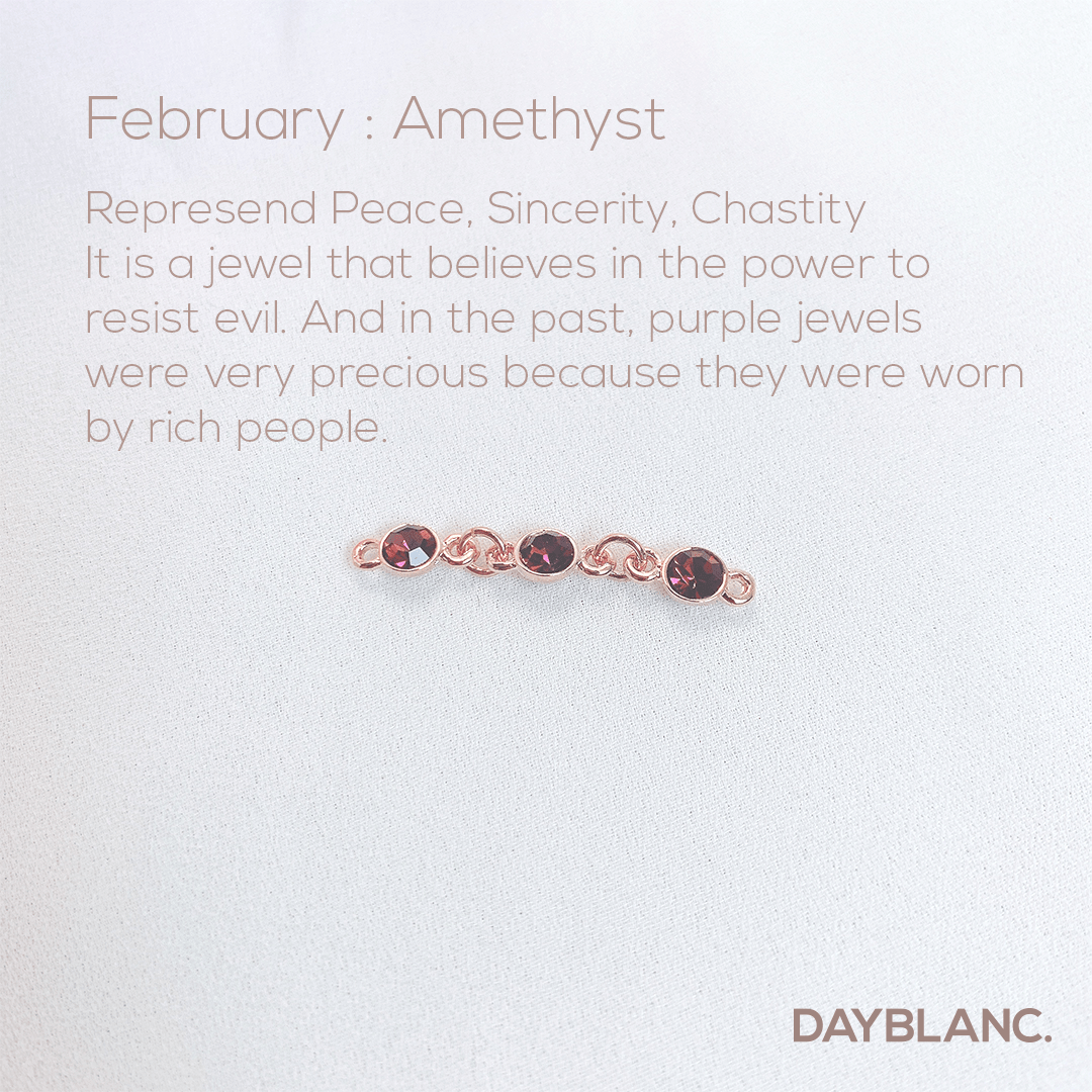 Adore You (Earring/Premium/Birthstone) - DAYBLANC