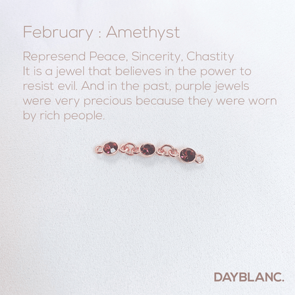 Adore You (Earring/Premium/Birthstone) - DAYBLANC