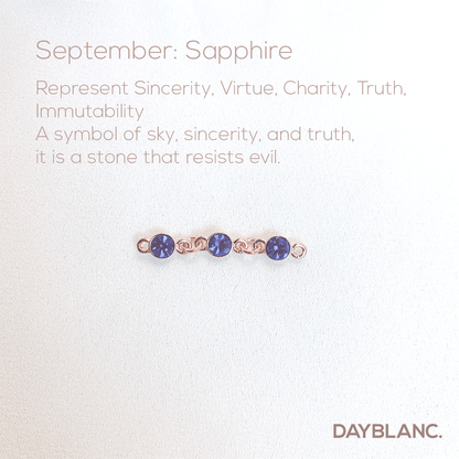 Adore You (Earring/Premium/Birthstone) - DAYBLANC